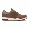 chaussures-ecco-biom-hybride-3-marron-profil-rue du golf