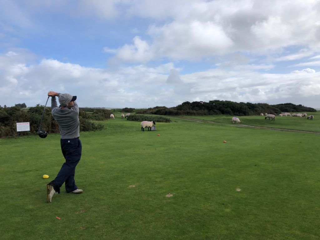  Southerndown GC, où golfeurs et moutons se côtoient 