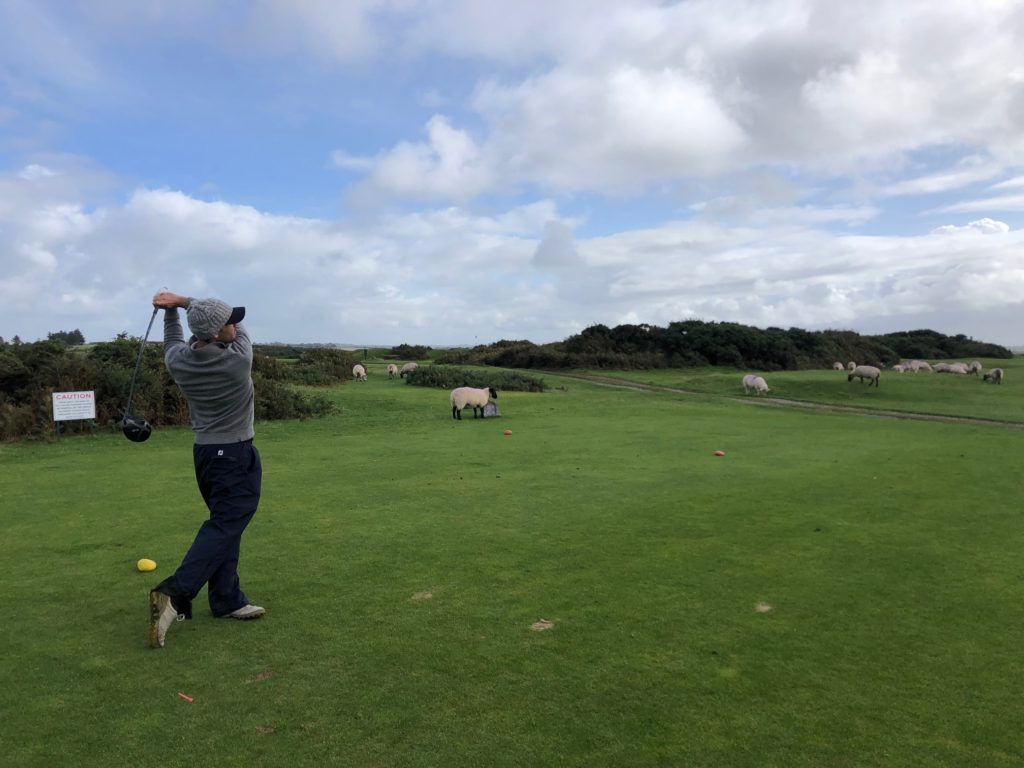 Southerndown GC, où golfeurs et moutons se côtoient