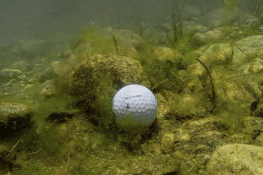 balle de golf Biodégradable
