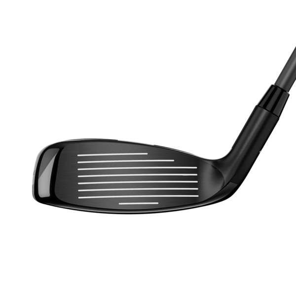 Hybride Callaway Rogue