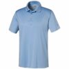 polo Puma Rotation