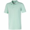 polo Puma Rotation