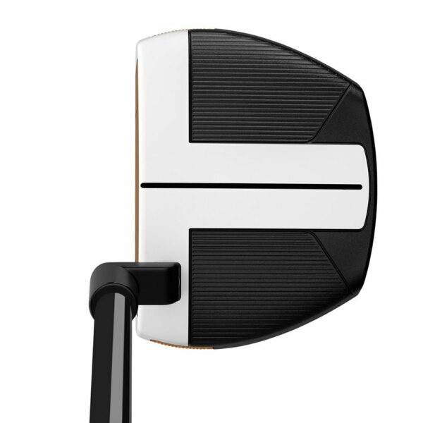 Putter Taylormade Spider FCG à l'adresse Putter Taylormade Spider FCG à l'adresse