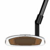 Putter Taylormade Spider FCG face Putter Taylormade Spider FCG face
