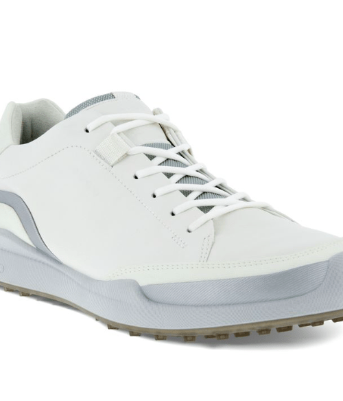 chaussure Ecco Biom Hybrid