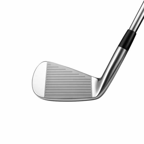 Mizuno Pro 221 face