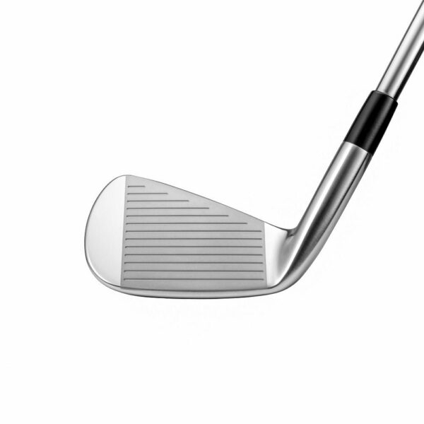 Mizuno Pro 223 face