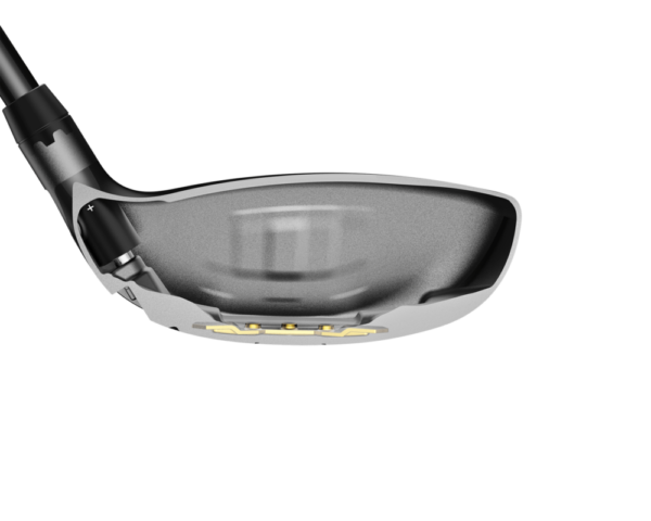 bois de parcours Cobra LDTx LS face interieur bois de parcours Cobra LDTx LS face interieur