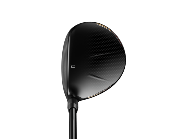 bois de Parcours Cobra LTDx adresse bois de Parcours Cobra LTDx adresse