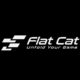 Flat cat