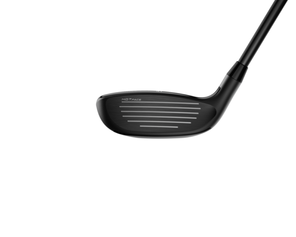 hybride Cobra LTDx face