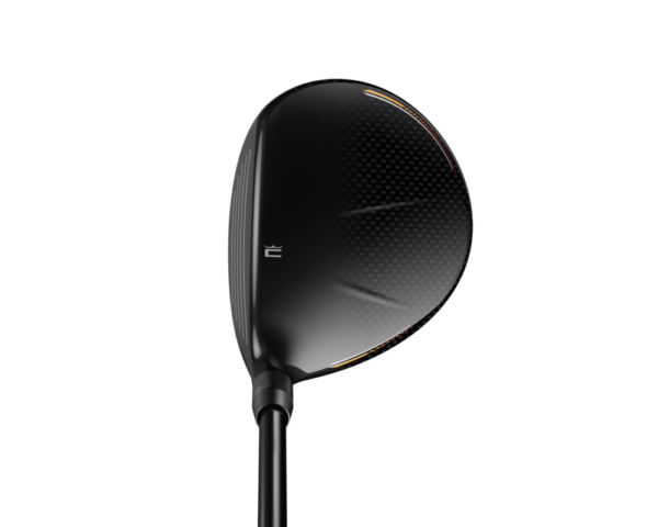 bois de Parcours Cobra LTDx Max adresse