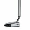putter Taylormade Spider GT Rollback