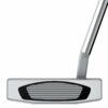 putter Taylormade Spider GT Notchback