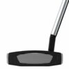 putter Taylormade Spider GT Splitback