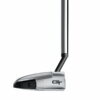 putter Taylormade Spider GT Rollback