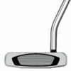 putter Taylormade Spider GT Rollback
