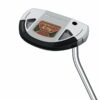 putter Taylormade Spider GT Rollback