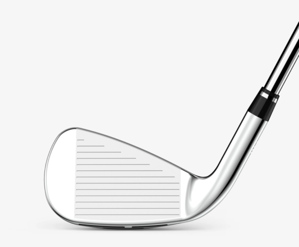 fers Wilson Dynapower lady fers Wilson Dynapower lady