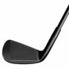 Taylormade P790 Phantom Black