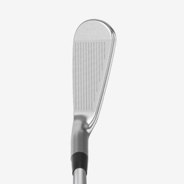Mizuno Pro 241 Mizuno Pro 241