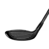 Bois de Parcours Titleist GT1